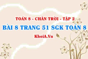 Bài 8 trang 51 Toán 8 Chân trời sáng tạo Tập 2